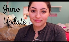 June Update | Instagram, Sister Tag, Brothers Channel