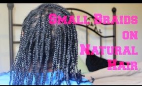 Small Braids COMPLETED | Protective Style | Natural Hair