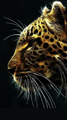 Saher S.