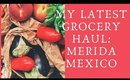 Medical Update and Latest Food Haul: Merida, Mexico