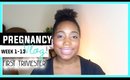 Pregnancy Vlog Week 1 -13! First Trimester | Jessica Chanell
