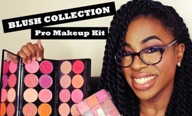 Blush Collection - Pro Makeup Kit : The Life Of A Makeup Artist | Ep.4