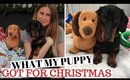 WHAT MY PUPPY GOT FOR CHRISTMAS 2019!