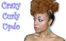 Crazy Curly Updo | Easy Peasy!