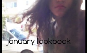 january lookbook // ila b