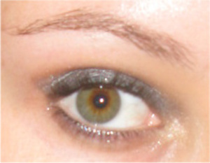 dramatic silver-blue eye