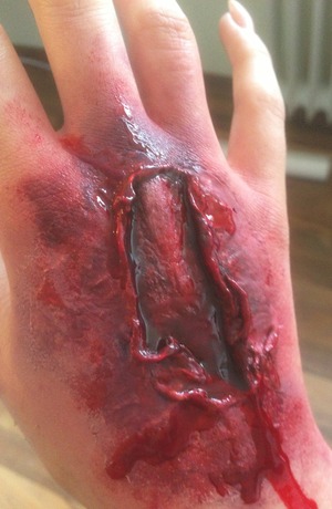 My first real attempt on working with liquid latex and fake blood.
It is so much fun to work with these materials.