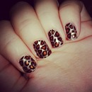 Cheetah nail