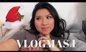 Let's see how this goes VLOGMAS!!!! | Our Christmas Tree 2017