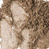 MAC Pigment Blonde's Gold