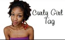 ✄Hair|Curly Girl Tag + Sneak Peek Announcement |Raw & Uncut :)|