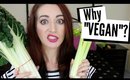 WHY I'M "VEGAN" / How Japan Made Me Vegan! *Weird Storytime*