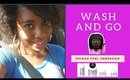 Ouidad Curl Immersion Line for Kinky Hair | First Wash N Go of #SummerSixteen