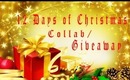 ♦♦12 Days of Christmas | Collab and GIVEAWAY (Announcment) | Briarrose91♦♦