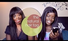 The Natural Hair Tag ║ Emmy8405