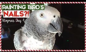 Painting Bird's Nails?! | VLOGMAS Day 4