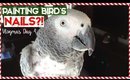 Painting Bird's Nails?! | VLOGMAS Day 4