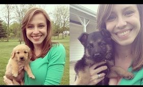 Vlog: PUPPIES!!! (May 23, 2014)