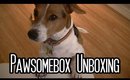 Pawsome Box Unboxing