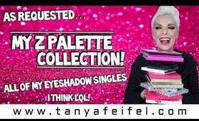 As Requested | My Z Palette Eyeshadow Collection! | All of My Singles… I Think Lol! | Tanya Feifel