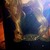 Sharn T.