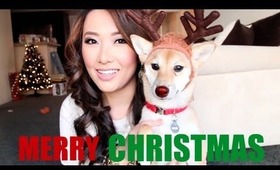 MERRY CHRISTMAS! + EEVEE Blooper! (and special thanks : )