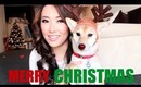 MERRY CHRISTMAS! + EEVEE Blooper! (and special thanks : )
