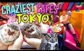 TOP CRAZIEST THEMED CAFES IN TOKYO 2019 (Monster, Hedgehog, Owls)