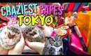 TOP CRAZIEST THEMED CAFES IN TOKYO 2019 (Monster, Hedgehog, Owls)