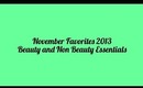 November Favorites 2013: Beauty and Non Beauty Essentials