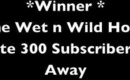 {{WINNER}} Wet n Wild Holiday Palette & 300 Subscriber Give AWAY