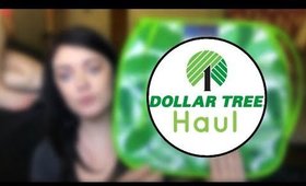 Dollar Tree Haul: New Summer Plates and Decor, Hiking Supplies | Cushion Fail | |April 14, 2018