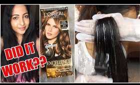 FIRST IMPRESSIONS: LOREAL Excellence Fashion Highlights | DID IT WORK? | Stacey Castanha