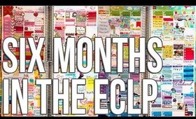 Six Months of Spreads in My Erin Condren Life Planner