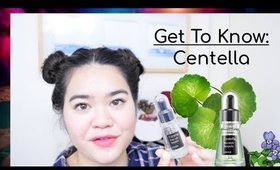 #1 Focus Friday: Korean Skincare Ingredient "Centella"