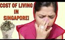 Cost Of Living In Singapore 😢| SuperPrincessjo
