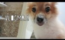 Vlogmas: My Dog & Boyfriend Snippet!