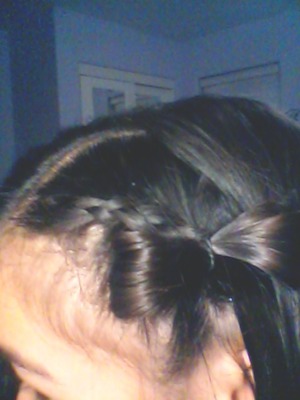 a twist between a french braid and a bow :)

sorry for bad picture...