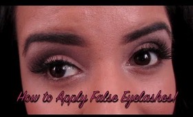 How To Apply False Eyelashes!