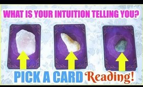 PICK A CARD & SEE WHAT IS YOUR INTUITION TRYING TO TELL YOU! │ WEEKLY TAROT CARD READING