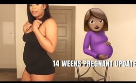 14 WEEKS PREGNANCY UPDATE (I HAVE TERRIBLE NEWS...)