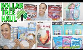 DOLLAR TREE HAUL! WALMART FINDS BRAND NAMES AND MORE!