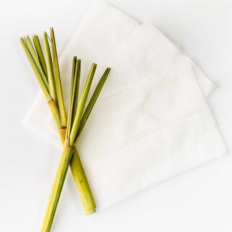 Nudestix NudeSkin Vegan Bamboo Cleansing Cloths