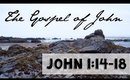John 1:14-18 Bible Study | The Gospel of John Bible Study Part 5