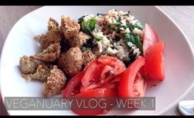 Veganuary Vlog - Vegan meals on a budget 🌽 Week 1