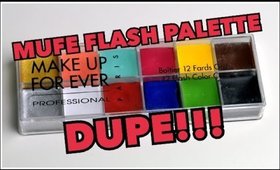 Makeup Forever Flash Palette Dupe! ONLY $13!