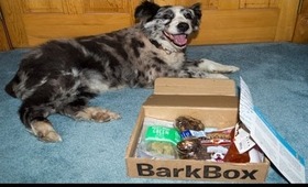 BarkBox May 2013