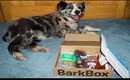 BarkBox May 2013
