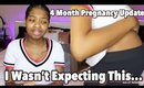 Birth Defects? Pain? Kicking? Pregnancy Update 3 ( 4 months + Belly)