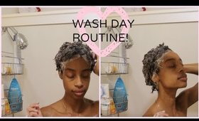 WASH DAY ROUTINE | Short curly hair